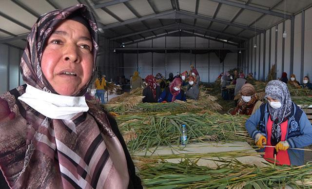 Ayşe öğretmenin pampas otu projesi, köydeki 100 kadına iş imkanı sağladı