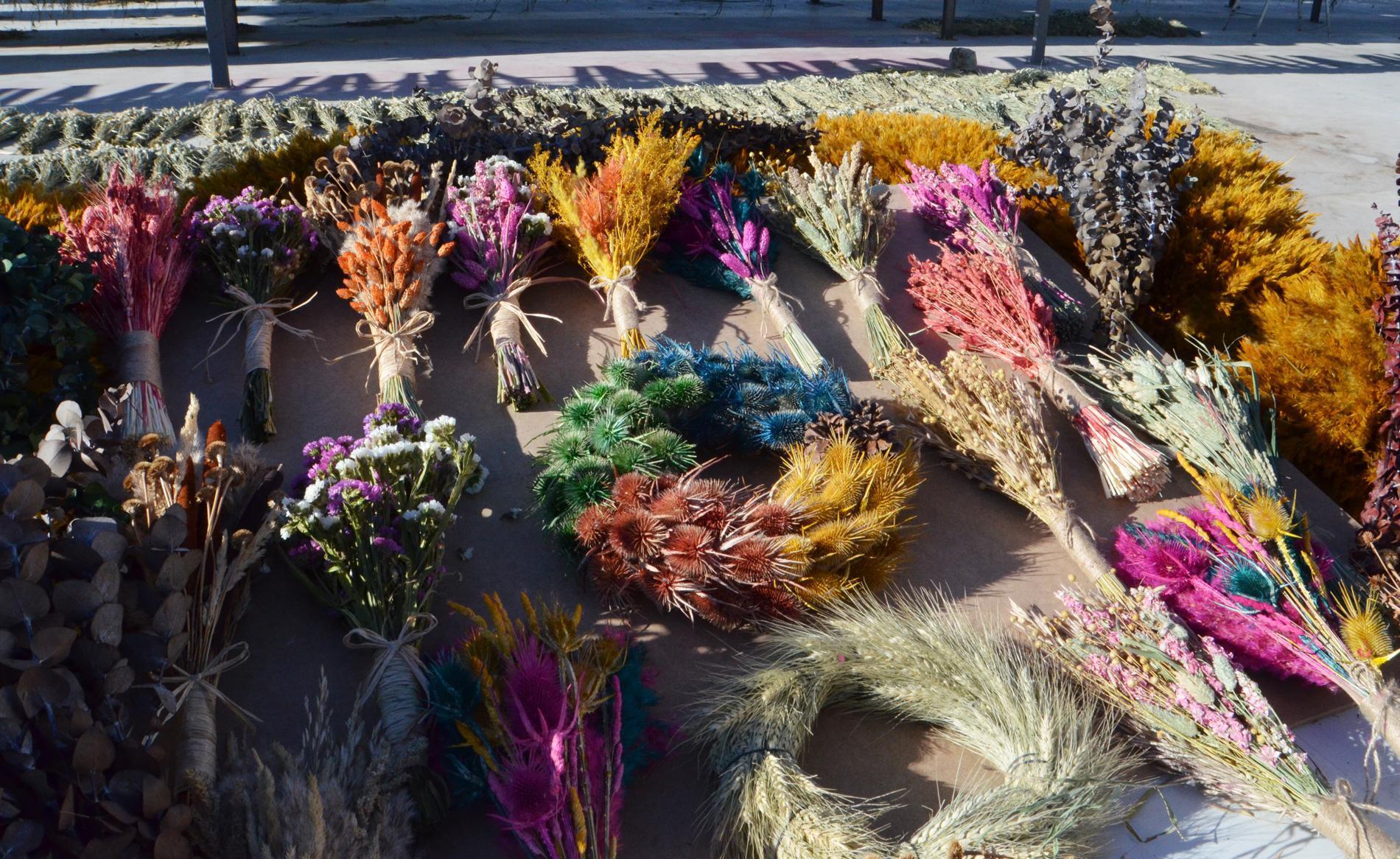 Ayşe öğretmenin pampas otu projesi, köydeki 100 kadına iş imkanı sağladı