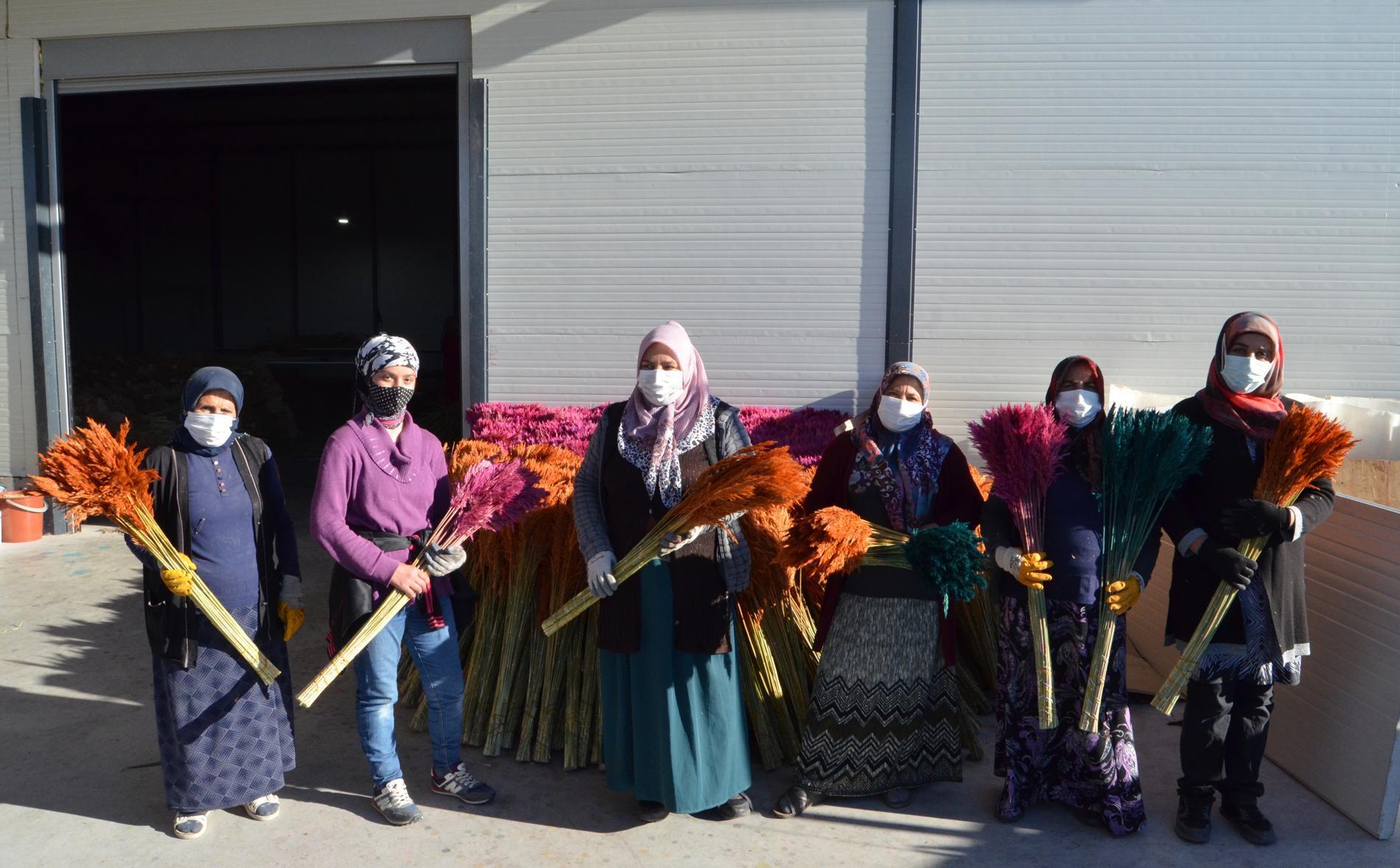 Ayşe öğretmenin pampas otu projesi, köydeki 100 kadına iş imkanı sağladı