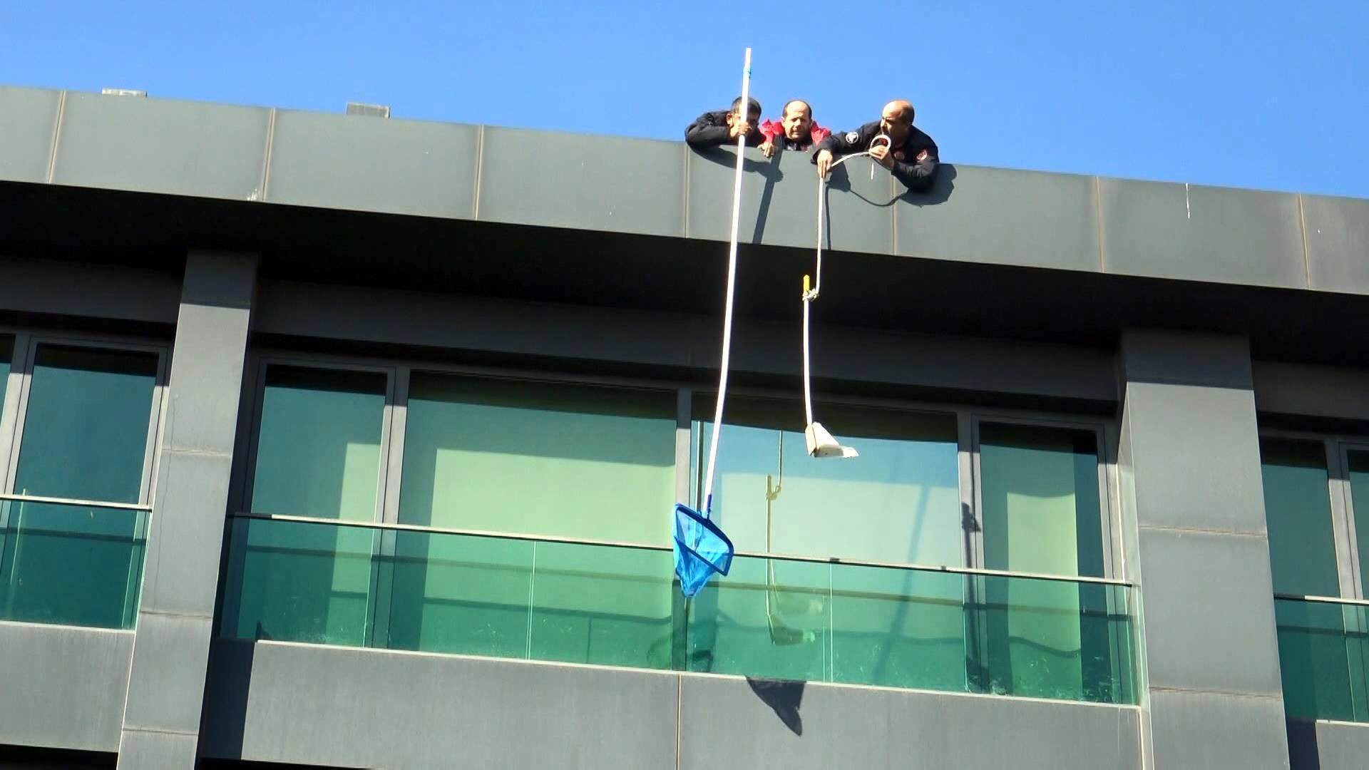 Avcılarda cam balkonda mahsur kalan iki güvercine asansör kürekli kurtarma operasyonu