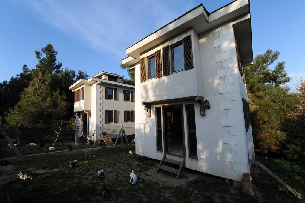 Engelli kedilere villa