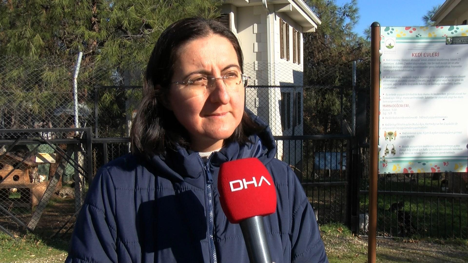 Engelli kedilere villa