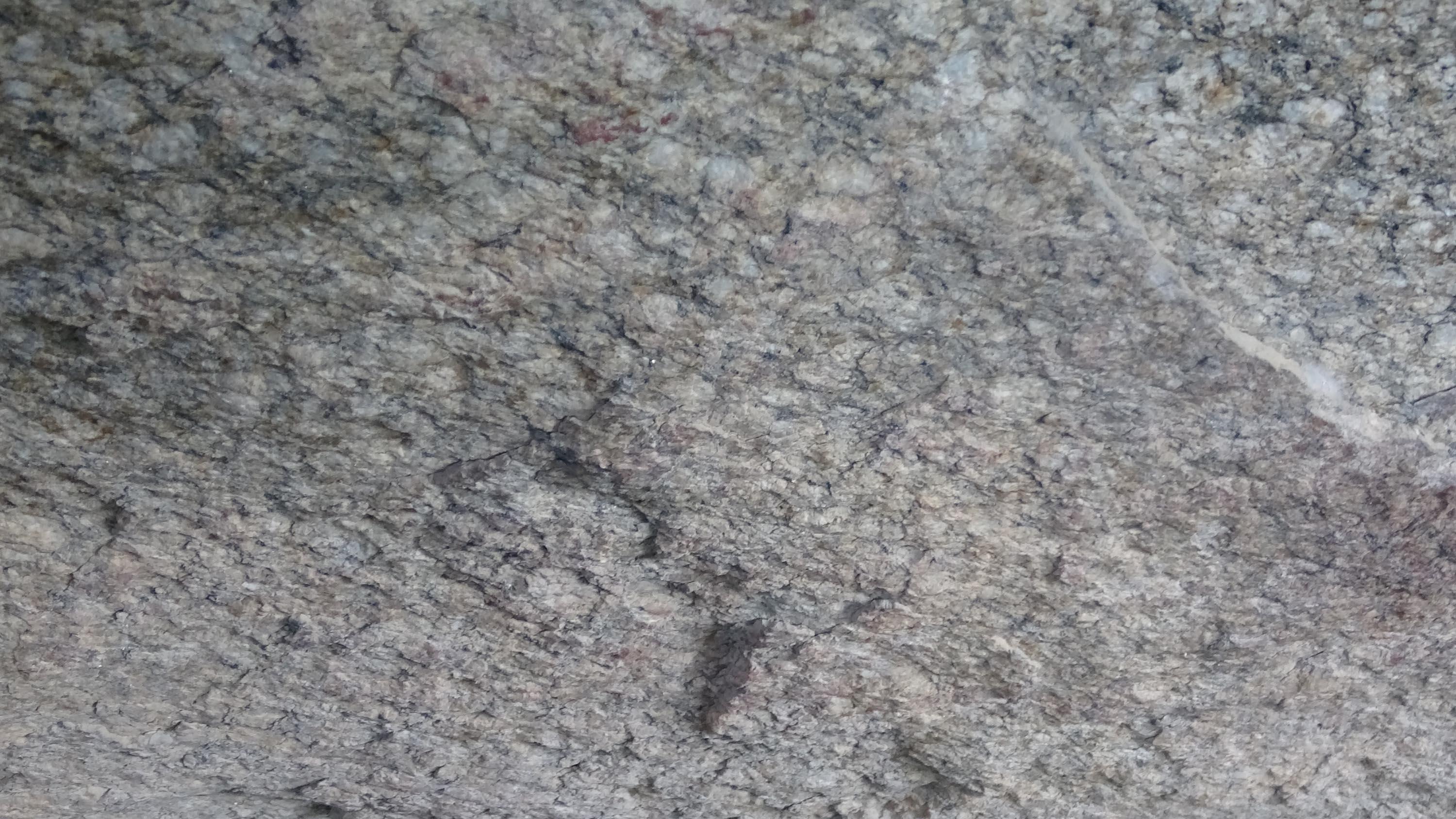 Aydında 7 bin yıllık mağara ve kaya resimleri bulundu