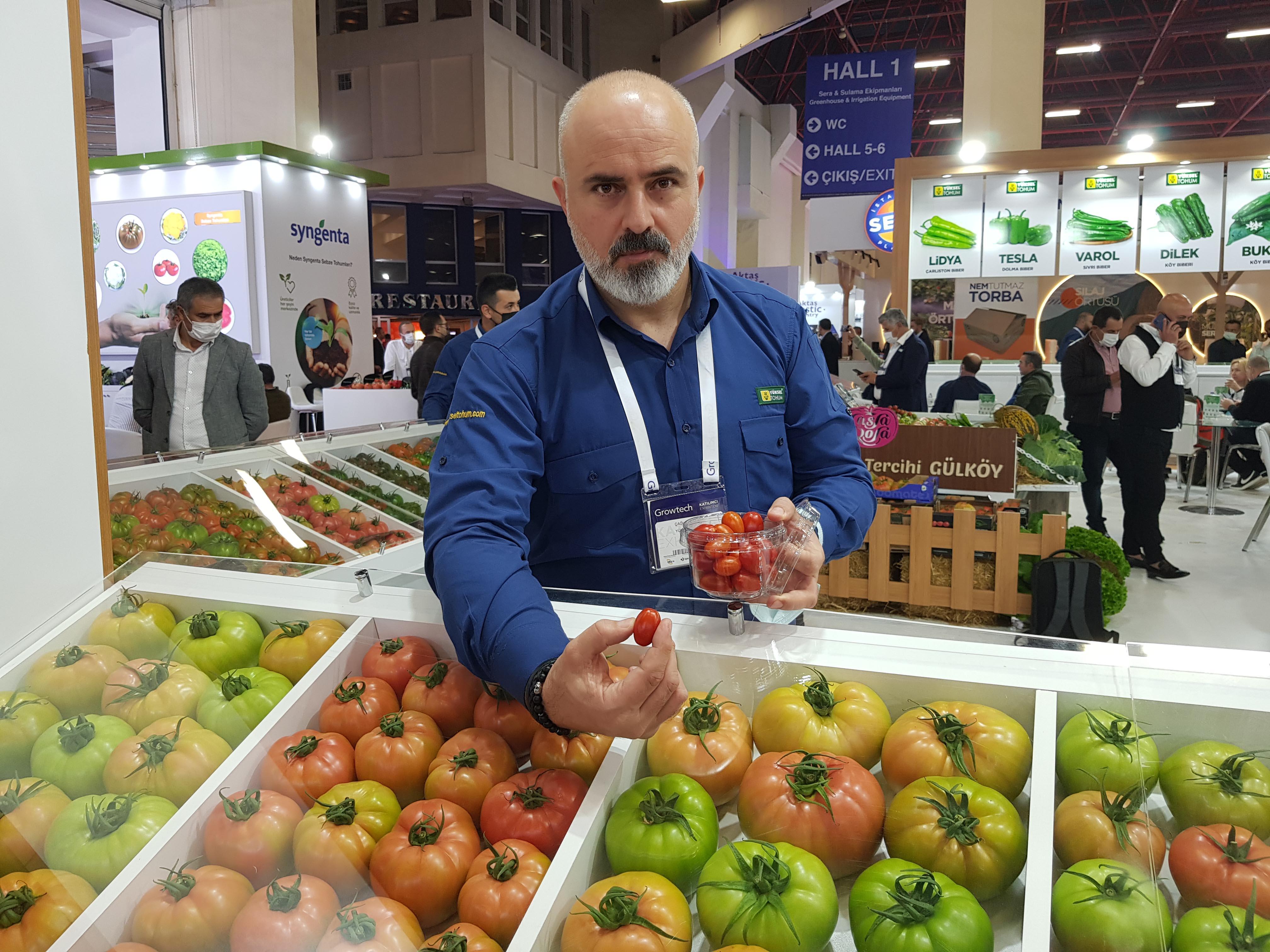 Domatese kadın ismi daha çok yakışıyor