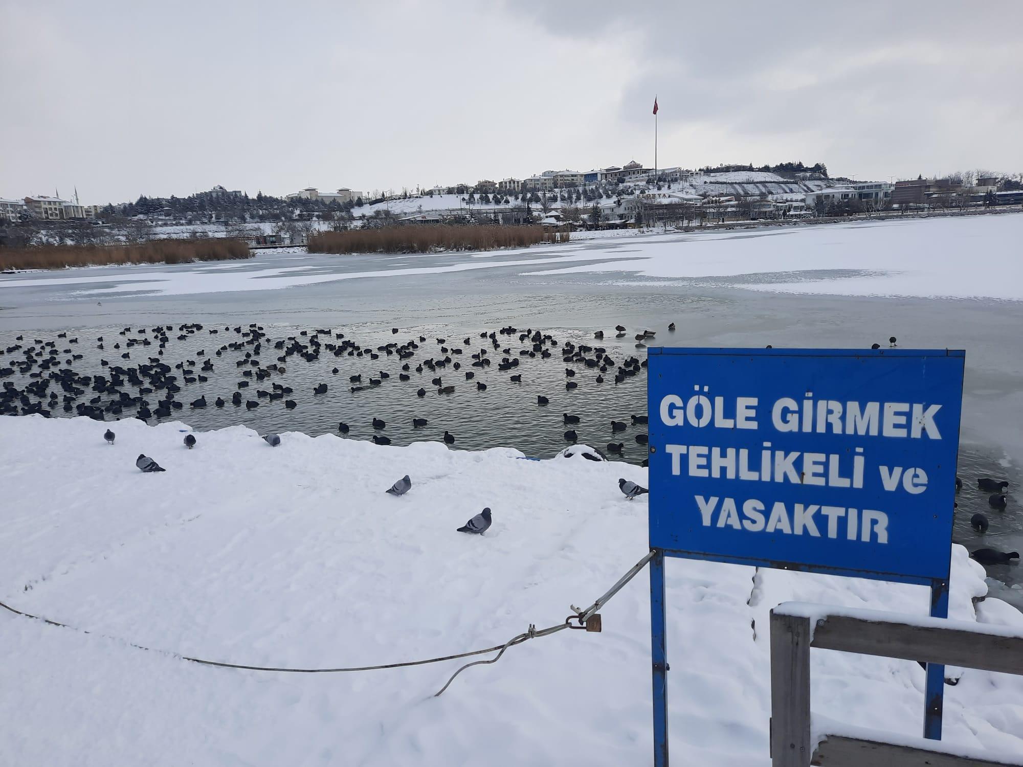 Ankarada Mogan Gölü kısmen buz tuttu