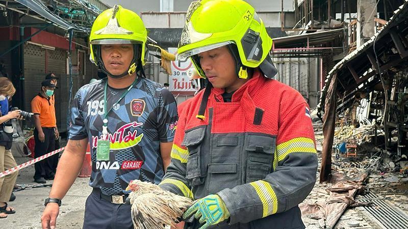 Tayland’da evcil hayvan pazarında yangın: Binlerce hayvan telef oldu