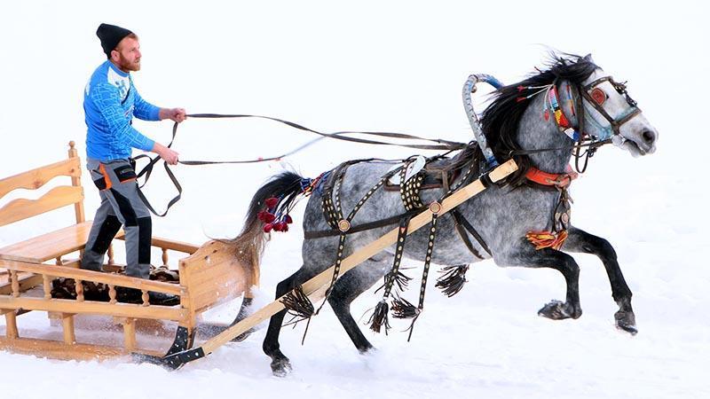 Erzurum’da atlı kızak şampiyonası