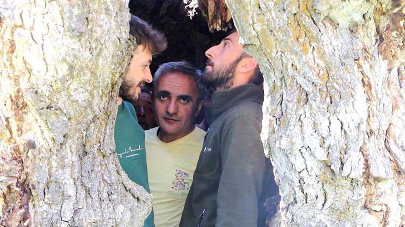Hakkari’de asırlık ceviz ağacının kovuğuna 12 kişi sığdı - Video Haberleri