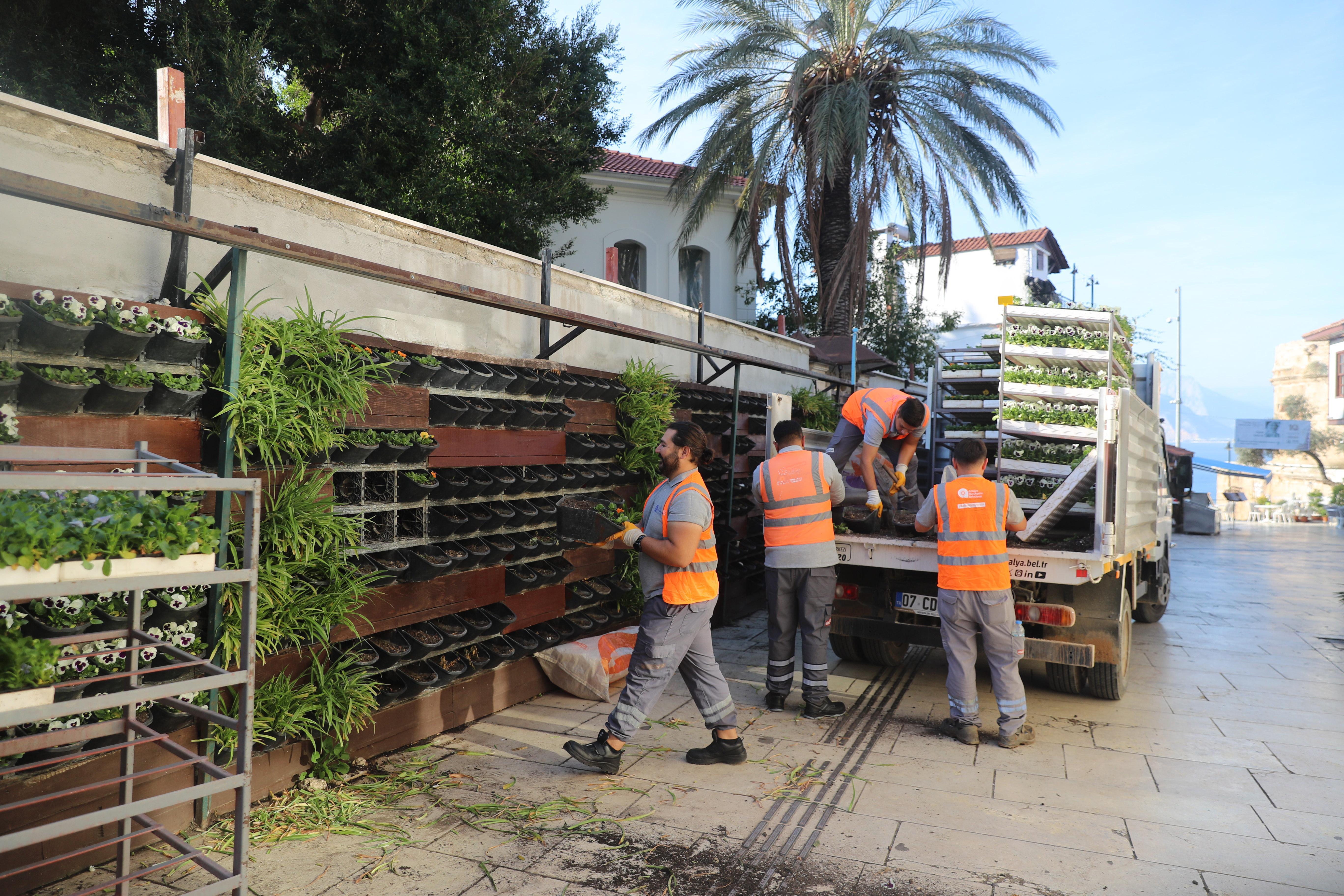 Antalya’da 4 milyon çiçek toprakla buluşuyor