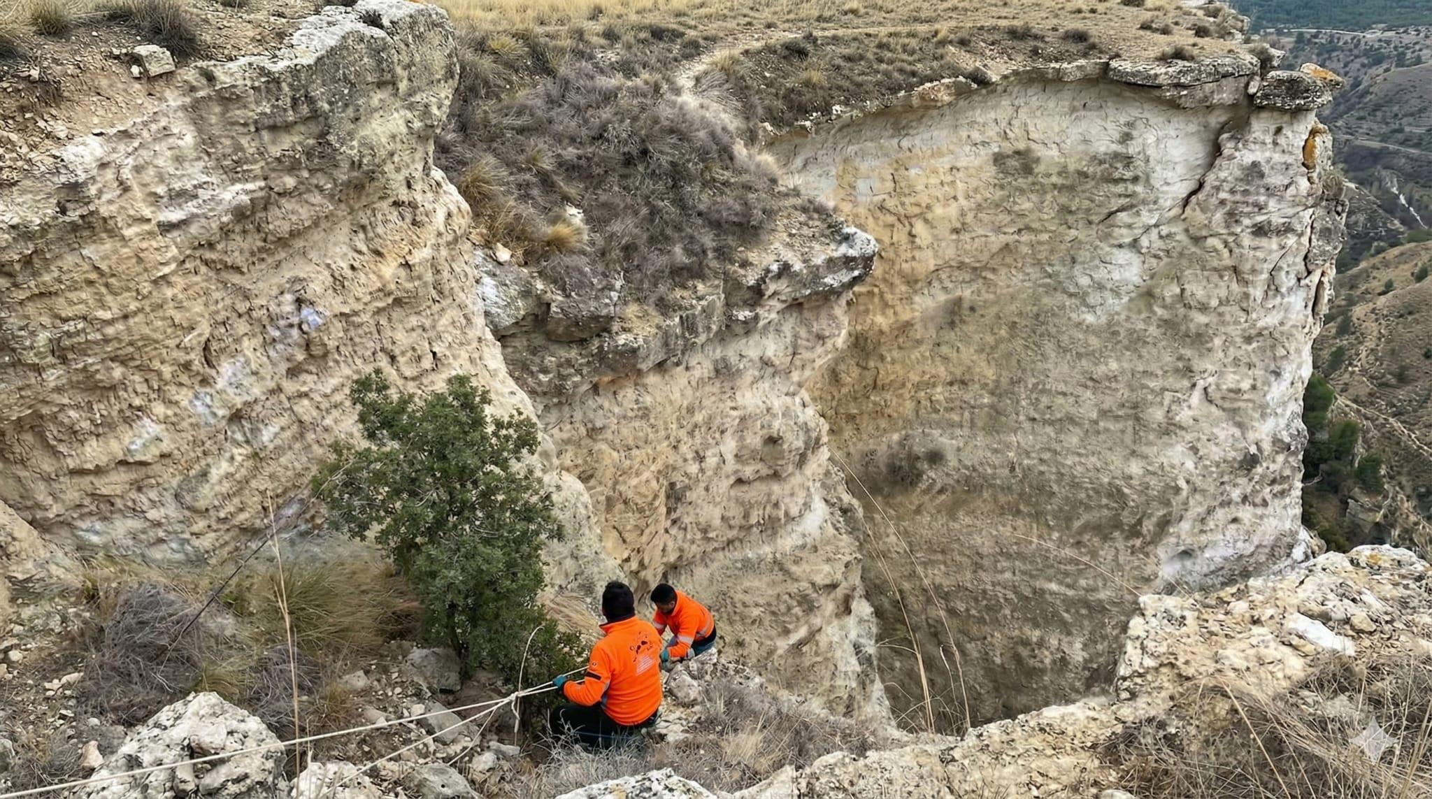 Avcılar, uçurumdan yuvarlanan köpeği kurtardı