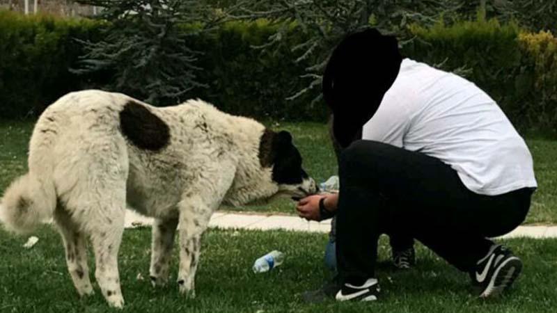 ‘Matmazel’in darbedilerek öldürüldüğü iddiasına soruşturma