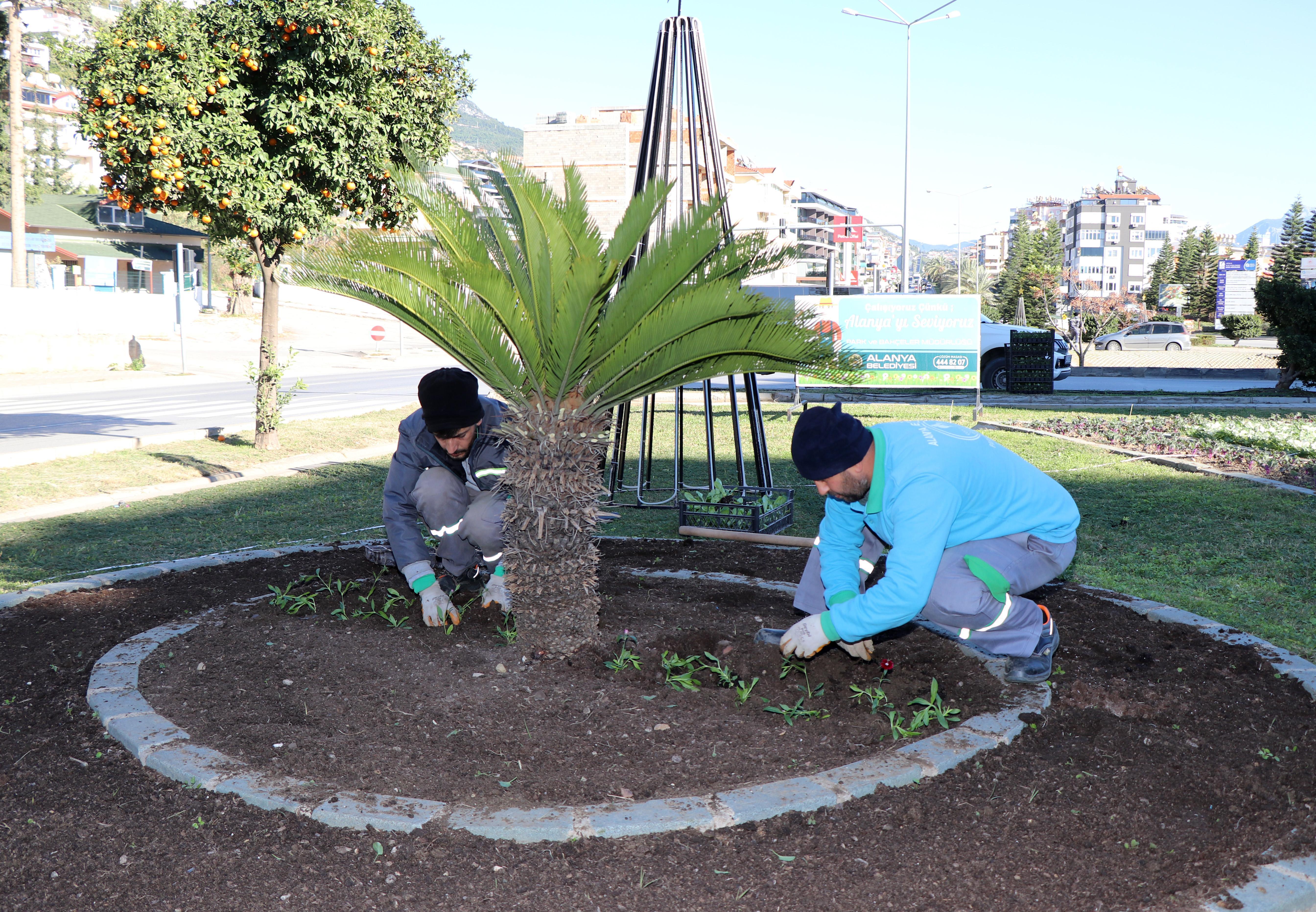 Park ve bahçelerde kış çalışmaları Park ve bahçelerde kış çalışmaları