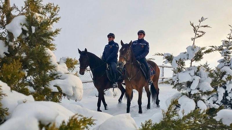Atlı jandarma birlikleri, kaçak avcılara karşı devriye faaliyeti gerçekleştirdi