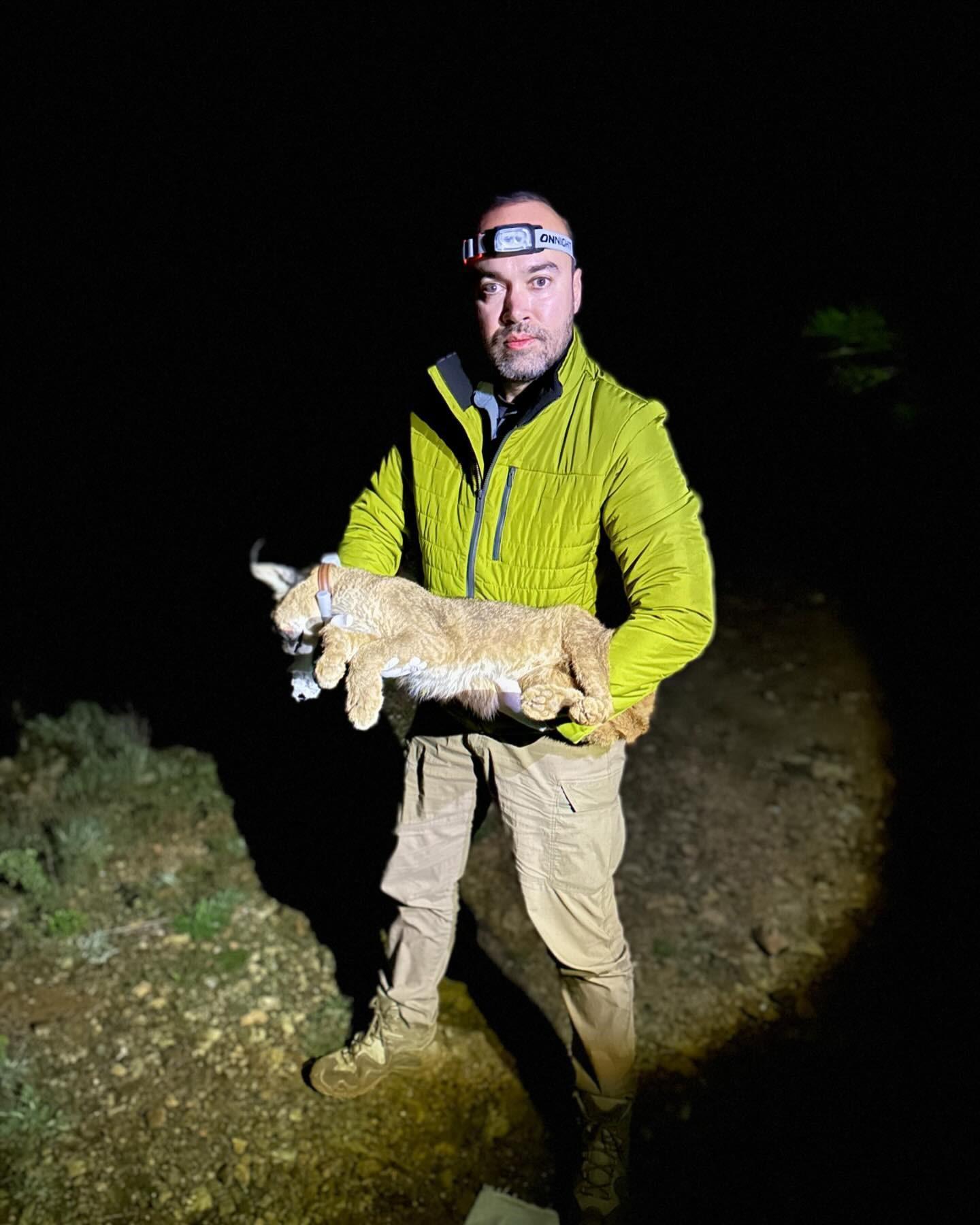 Dr. İlemin: Karakulak türünü Akdeniz ekosistemi için gösterge tür olarak tescilledik