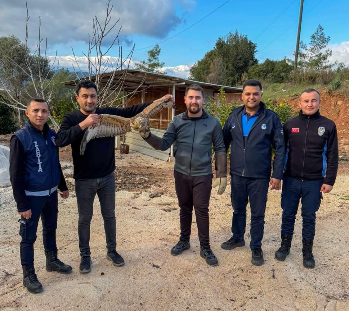 Yaralı atmaca tedavi edilerek doğaya bırakıldı