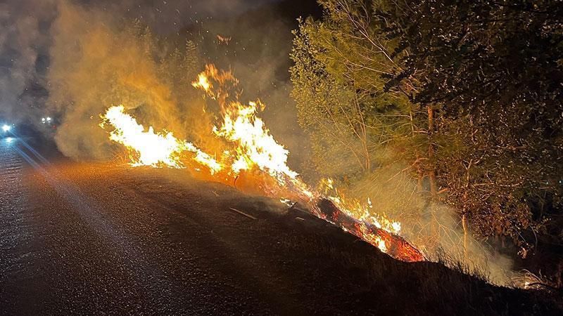 Yol kenarında çıkan yangın, ormana sıçradı