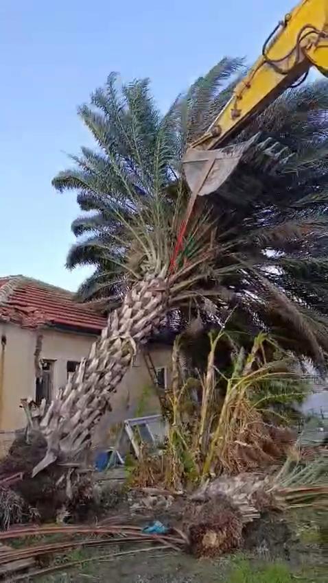 Kaş’ta fırtınadan seralar zarar gördü, ağaçlar devrildi Kaş’ta fırtınadan seralar zarar gördü, ağaçlar devrildi