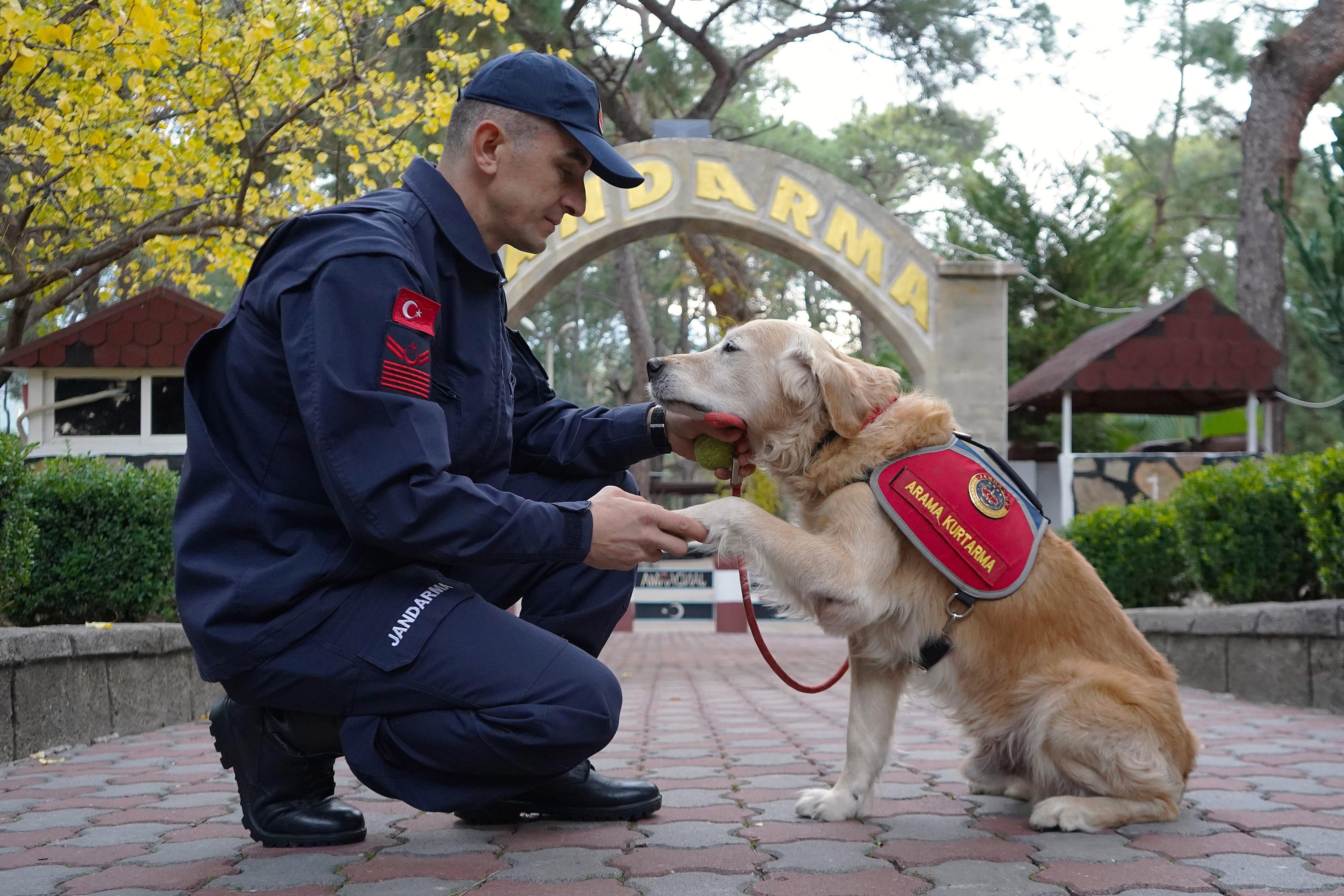 JAK köpeği ‘Ocak’, 8 yılda 48 can kurtardı JAK köpeği ‘Ocak’, 8 yılda 48 can kurtardı