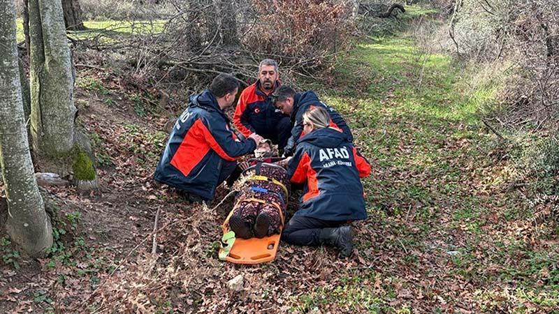 Kaybolan demans hastası 5 saat sonra bulundu Kaybolan demans hastası 5 saat sonra bulundu