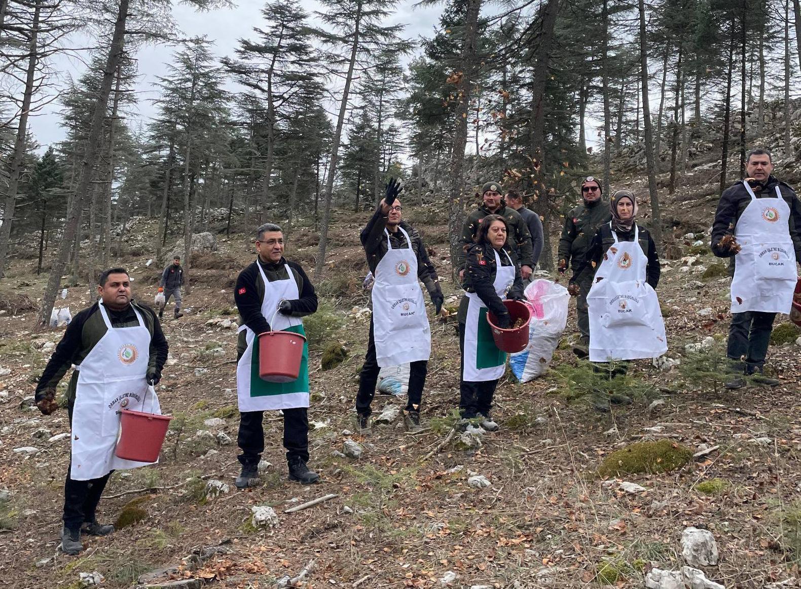 Bucak’ta karpelli sedir tohumları toprakla buluştu