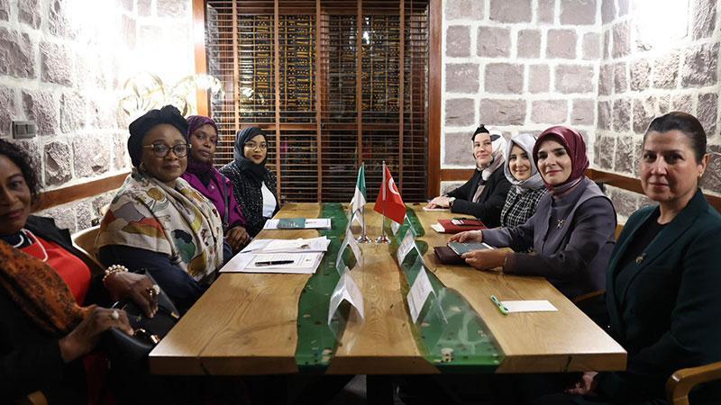 Bakan Göktaş, Nijeryalı mevkidaşı Imaan Sulaıman ile bir araya geldi