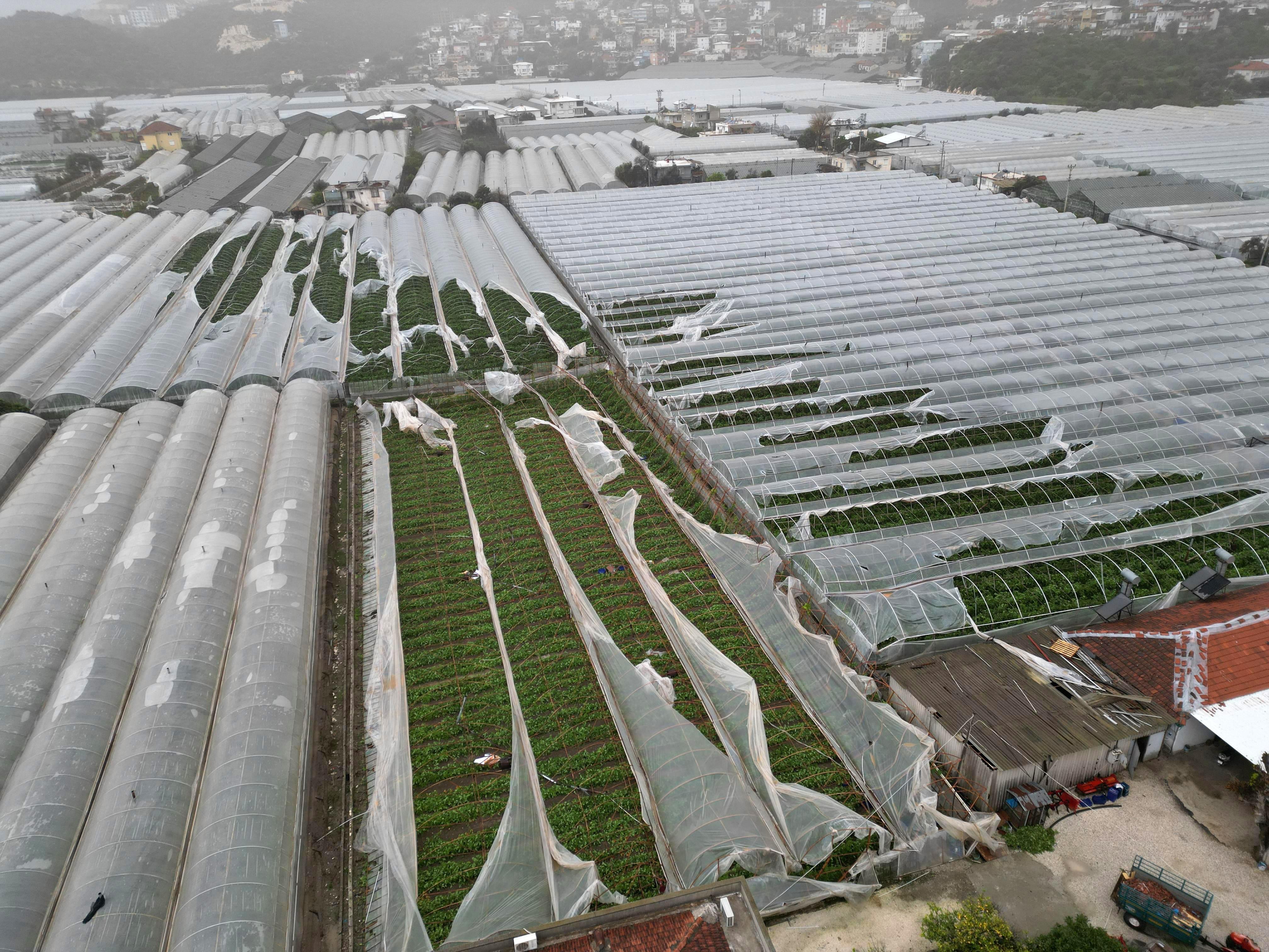 Yağmur ve hortum, sebze-meyveyi vurdu