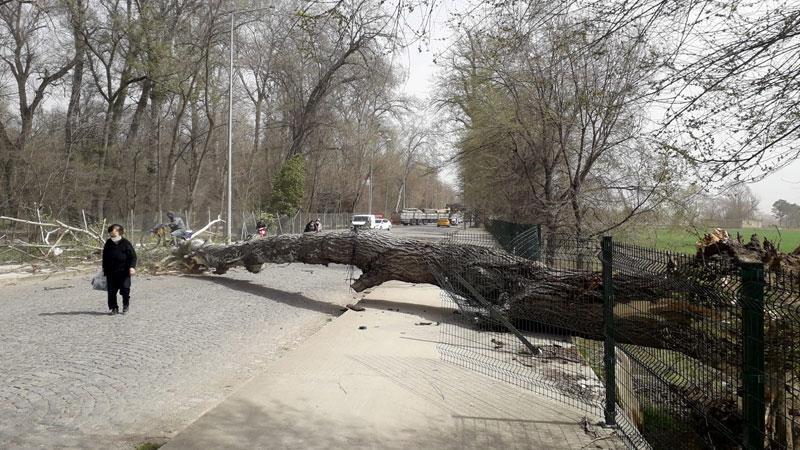 Marmara’nın batısı için ‘fırtına’ uyarısı