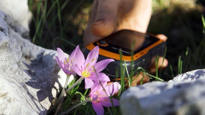 GPS verileri incelendi; orkidelerde kaçak söküm alarmı