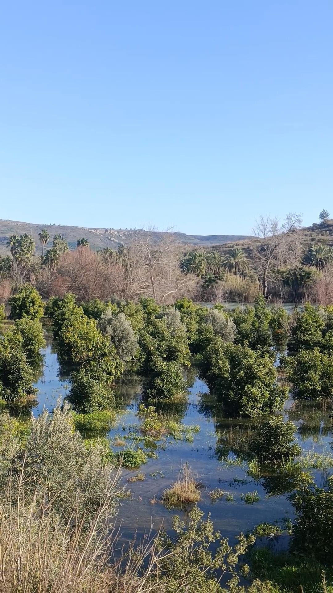 Irmak taştı, şantiye ile narenciye bahçelerini su bastı