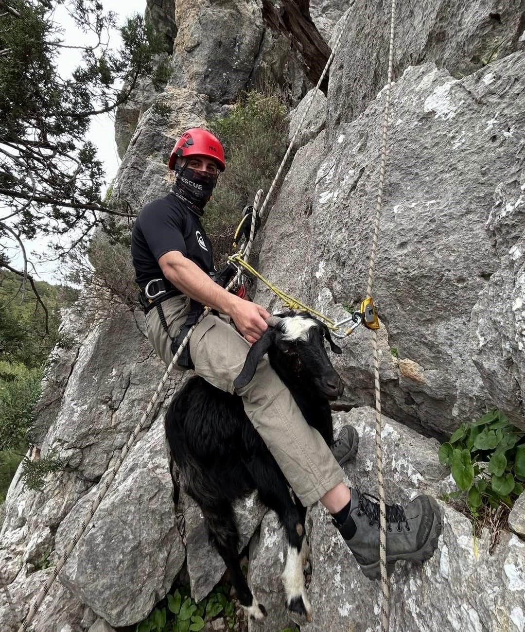 Kayalıkta mahsur kalan keçi ve kuzusunu itfaiye kurtardı