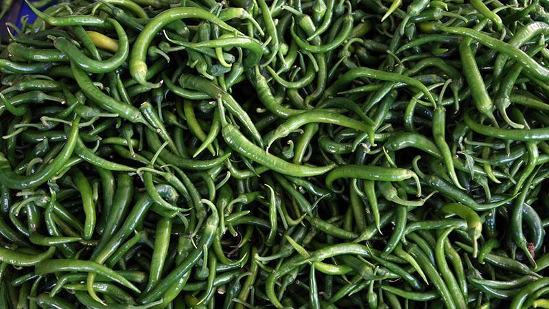 Batı Akdeniz’de ocak ayında yaş meyve sebzede ihracat şampiyonu, ‘biber’