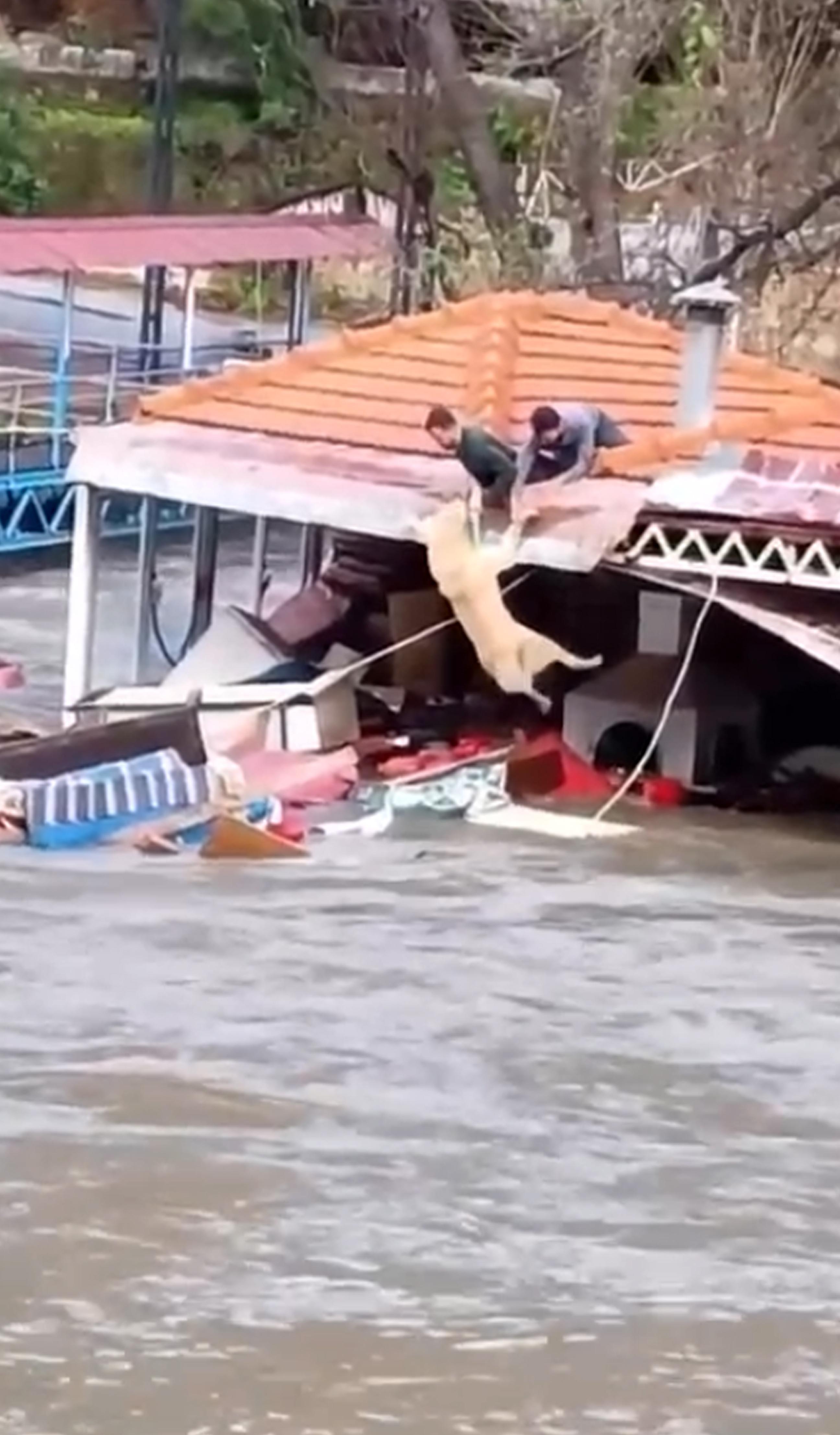 Antalya’da kuvvetli yağış 6 ilçede hasara neden oldu, mahsur kalan hayvanlar kurtarıldı