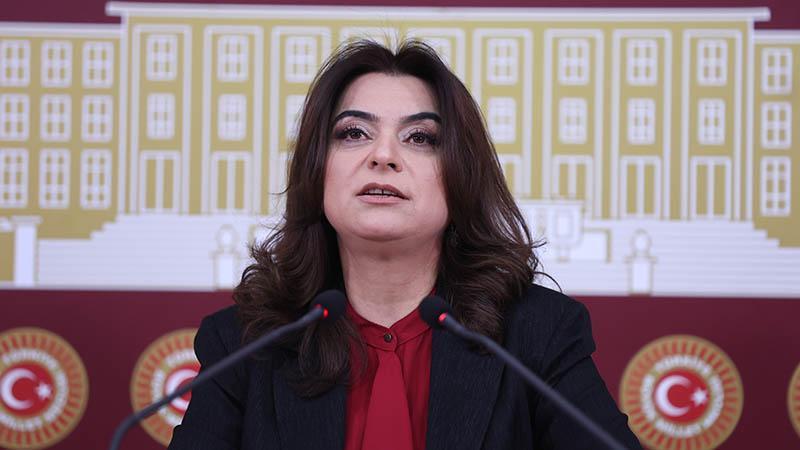 DEM Parti’li Koçyiğit: Süreç yasaları, hızlı bir şekilde Meclis’e getirilerek yasalaşmalı