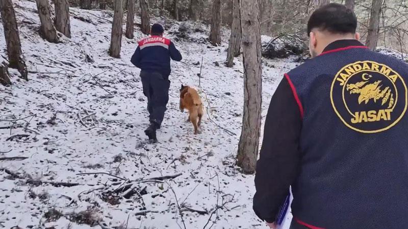 Ormanda bulunan kafatası ve kemik parçaları 2 kadına ait çıktı; 10 yıllık çifte cinayet aydınlatıldı Ormanda bulunan kafatası ve kemik parçaları 2 kadına ait çıktı; 10 yıllık çifte cinayet aydınlatıldı