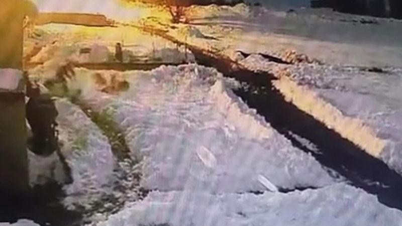 Köpeklerine saldıran kurtları kürekle kovaladı