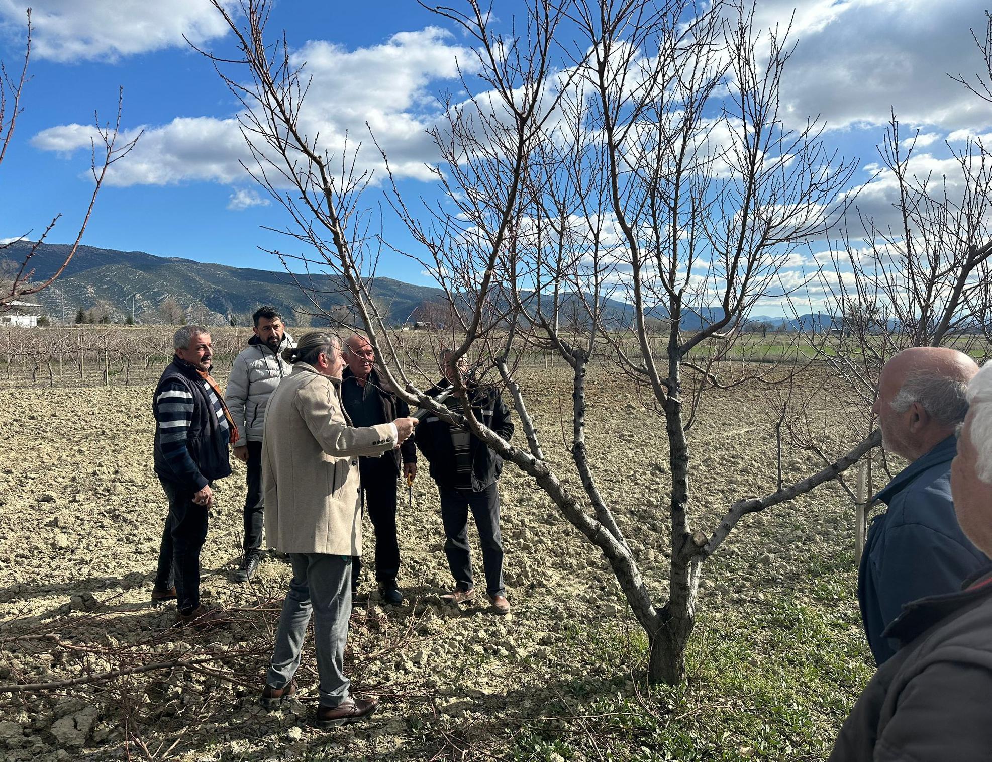 Üreticilere budama eğitimi