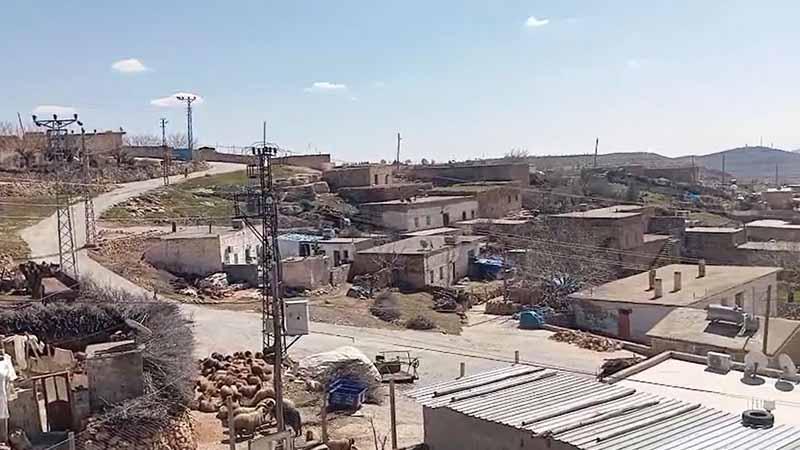 İnekteki kuduz şüphesi nedeniyle mahalle karantinaya alındı