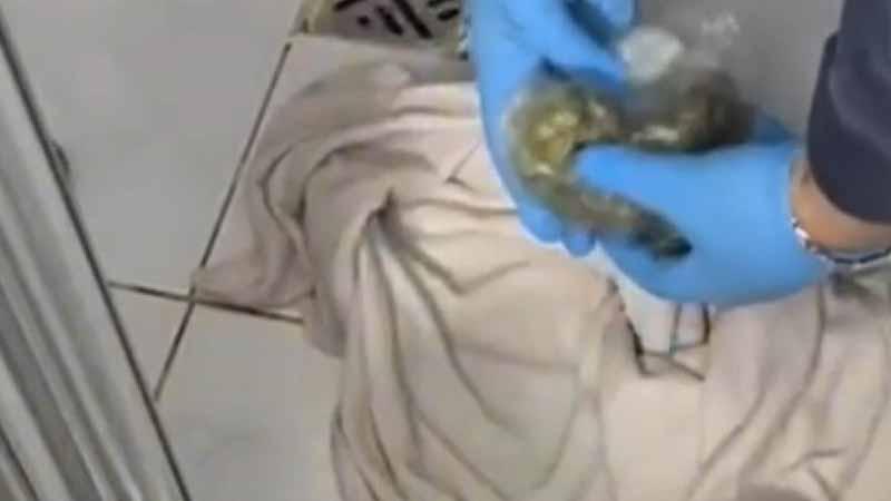 Maltepe’de uyuşturucu operasyonu: 1 tutuklama Maltepe’de uyuşturucu operasyonu: 1 tutuklama