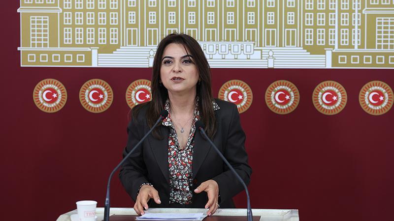 DEM Parti’li Koçyiğit: Hukuki düzenlemeler bütüncül perspektifle hayata geçirilmeli