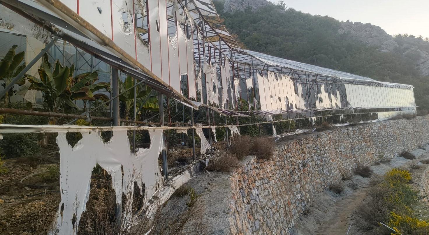 Muz serasının kundaklanmasına 3 tutuklama