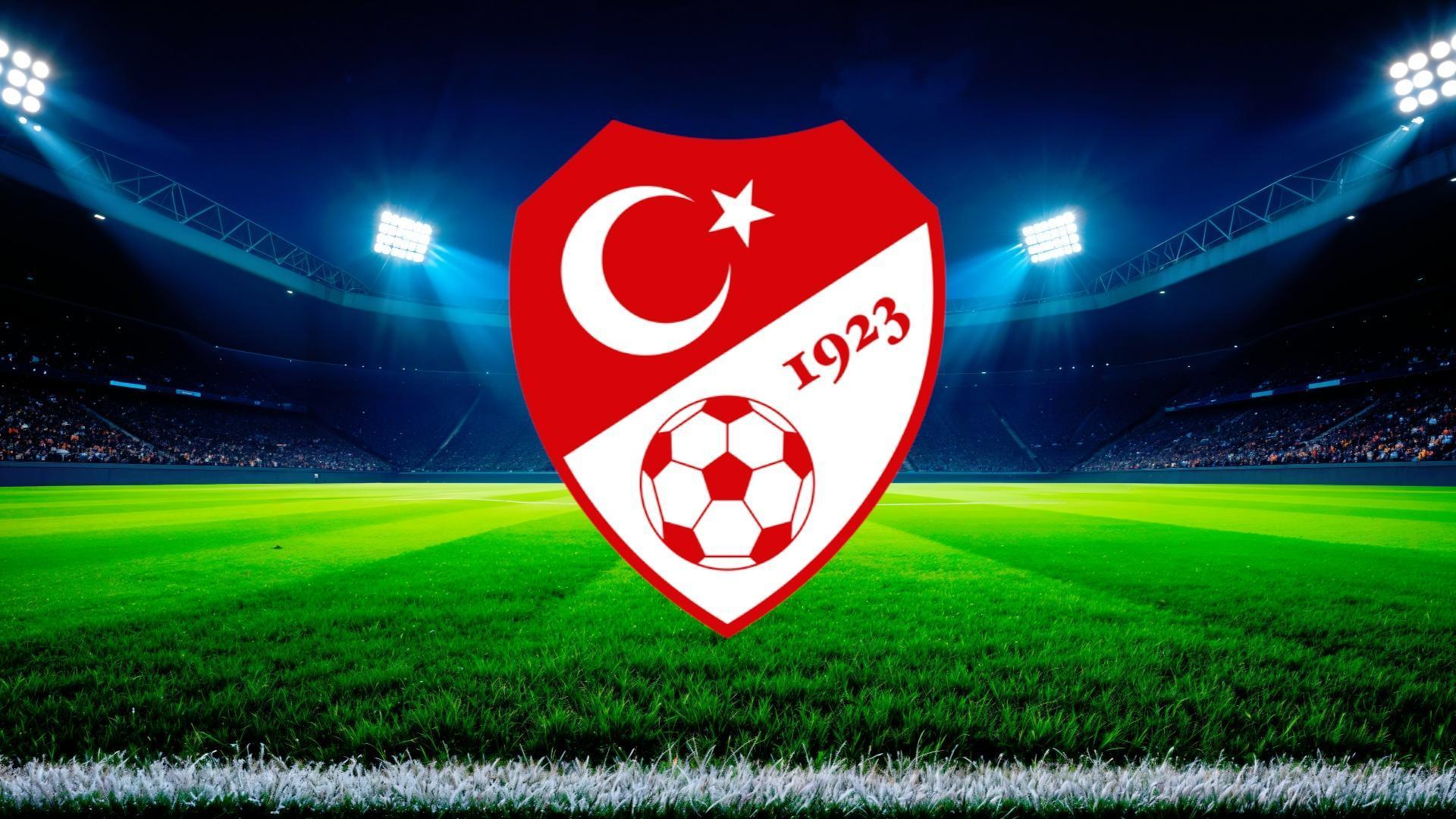 A Milli Takım, Romanya maçına hazır