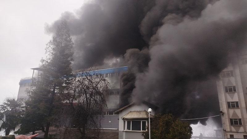 Trabzon’da fındık fabrikasında yangın