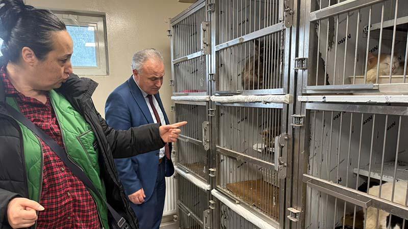 Ankara’da kötü şartlarda tutulan 102 hayvana el konuldu