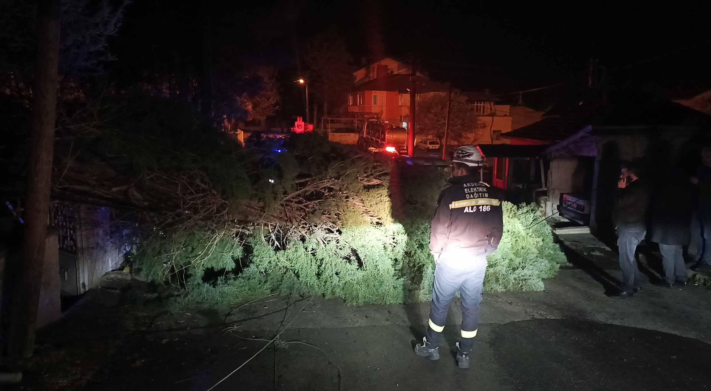 Rüzgar ağacı devirdi, elektrik telleri koptu