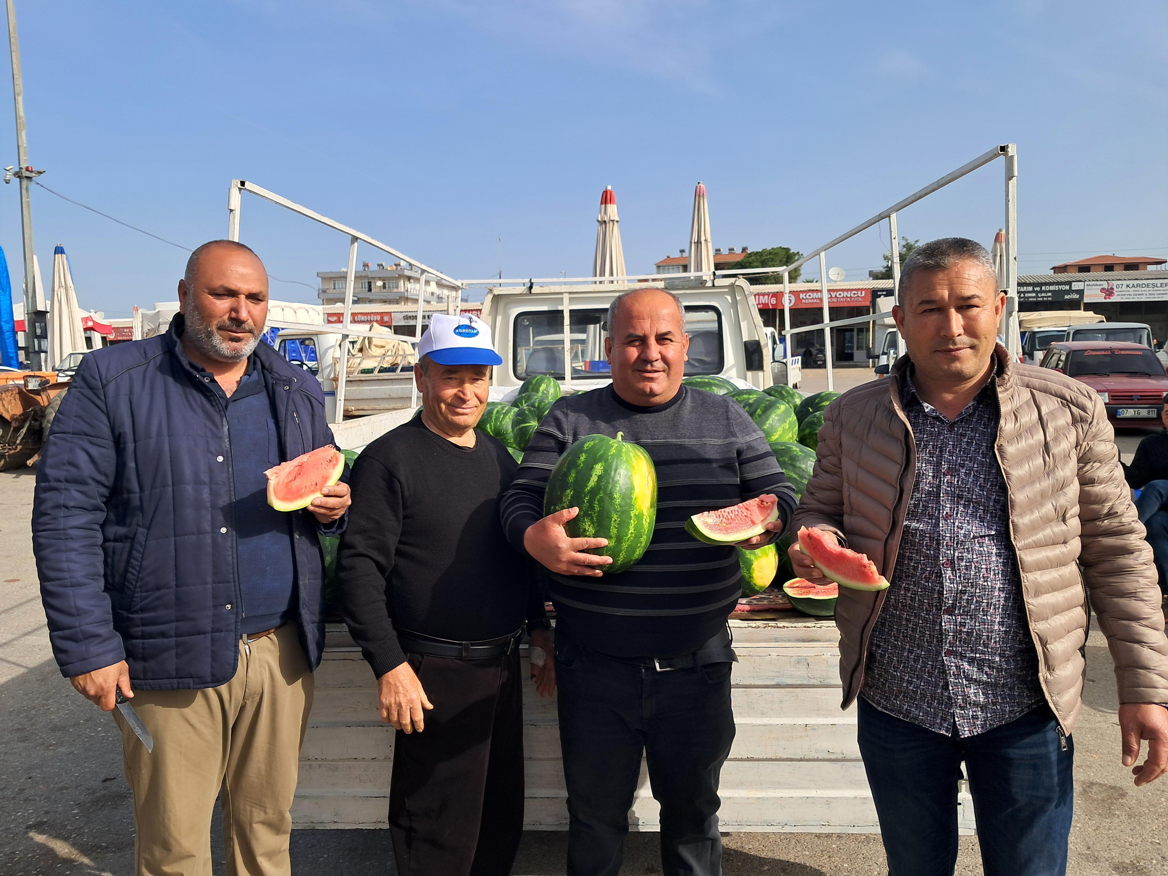 Antalya’da sezonun ilk erkenci karpuzu kilosu 40 liraya alıcı buldu Antalya’da sezonun ilk erkenci karpuzu kilosu 40 liraya alıcı buldu