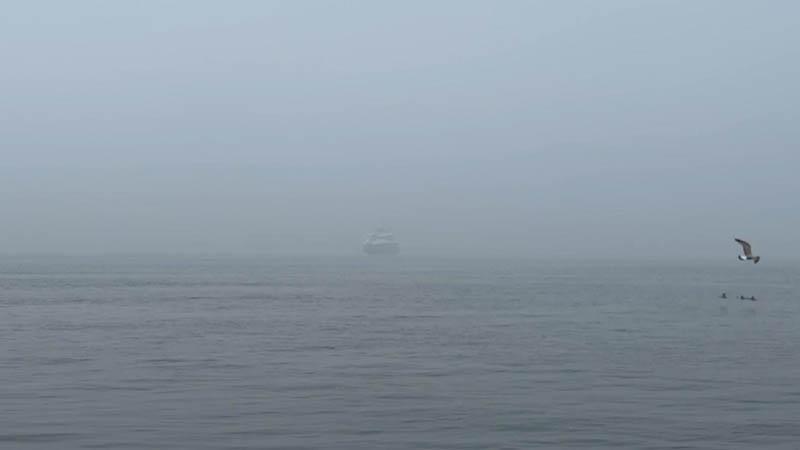 İstanbul’da sis etkili oluyor; gemi trafiği askıya alındı