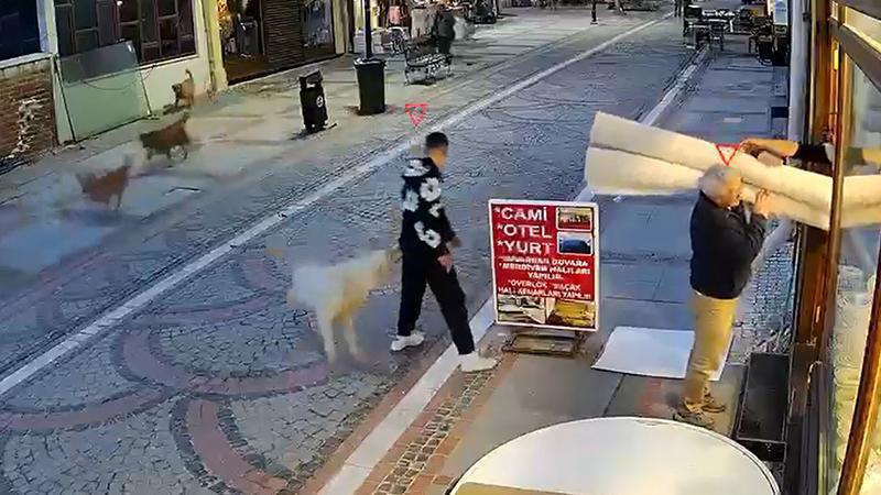 Sokak köpeğinin saldırısında yaralandı; o anlar kamerada
