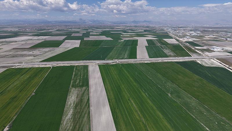 Konya Ovası’nda yağışlarla hububatta 500 bin ton rekolte artışı bekleniyor