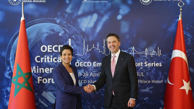 Bakan Bayraktar, Fas Enerji Dönüşümü ve Sürdürülebilir Kalkınma Bakanı Benali ile görüştü