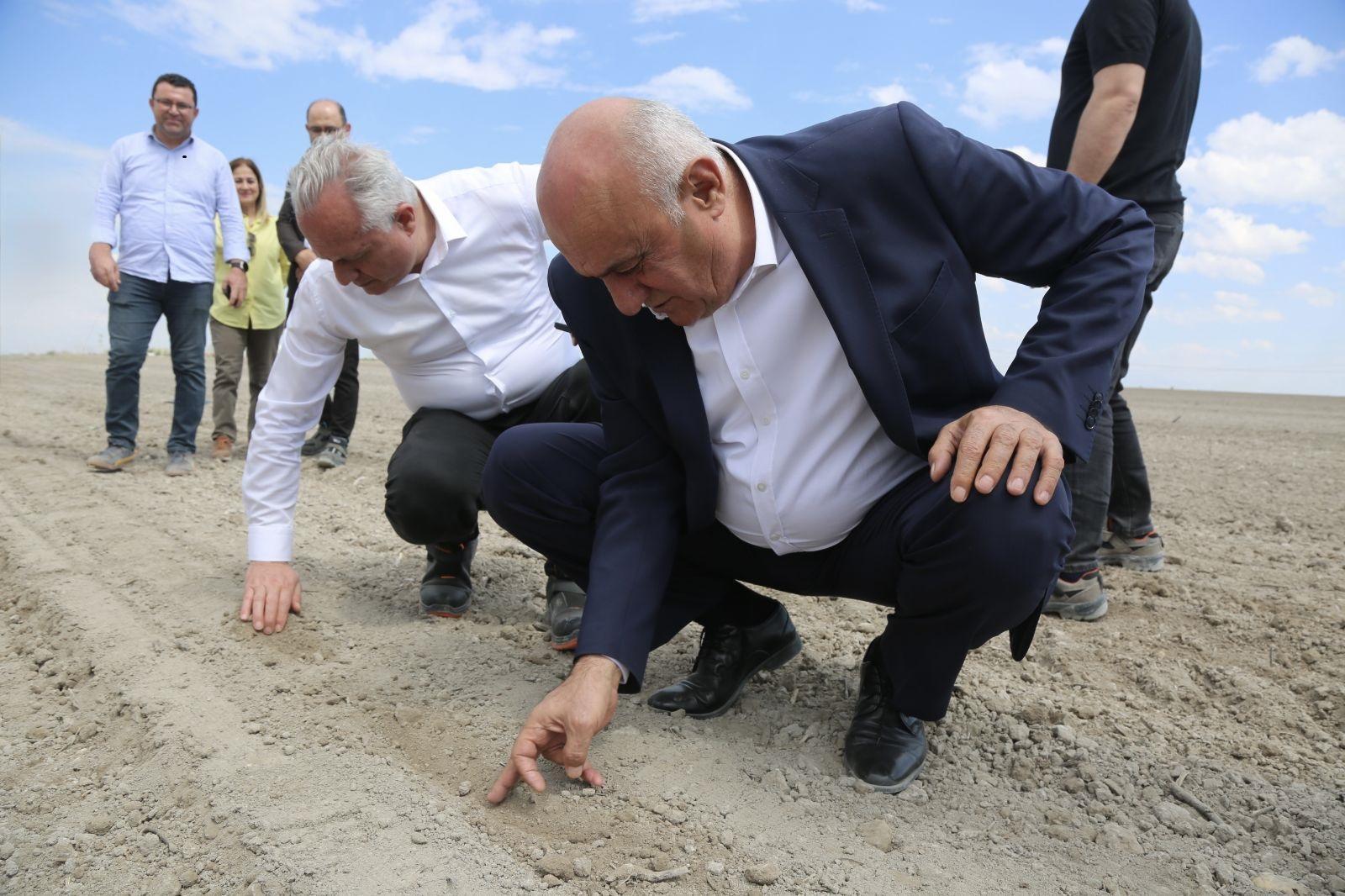 Erkoyuncu, pancar ekimine katıldı